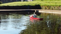 Afbeelding invoegen