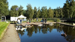 Afbeelding invoegen