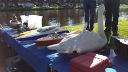 Afbeelding invoegen