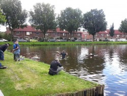 Afbeelding invoegen