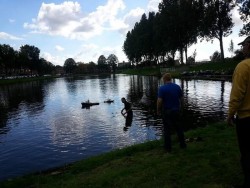 Afbeelding invoegen