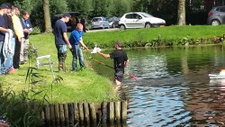 Afbeelding invoegen
