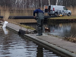 Ook de pieren zijn weer aan onderhoud toe