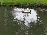 In de vaart hebben we lekker gevaren